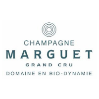 Champagne bio Benoit Marguet