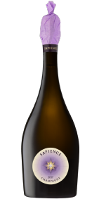 Champagne Benoit Marguet Sapience 2017