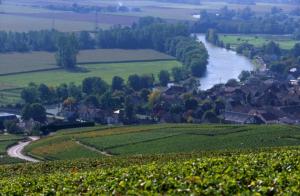 Valle de la Marne - Champagne